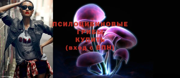 меф Белокуриха